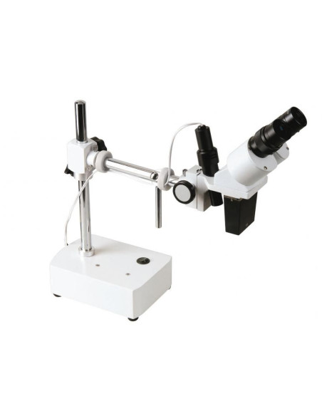 Lupa binokularna 10x/20x