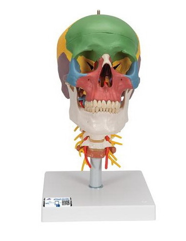 Lubanja didaktička 4 dijela