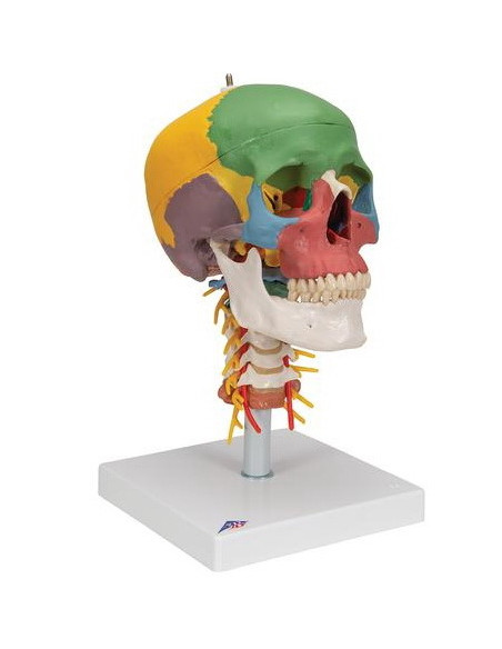 Lubanja didaktička 4 dijela