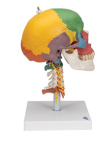 Lubanja didaktička 4 dijela