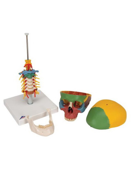 Lubanja didaktička 4 dijela