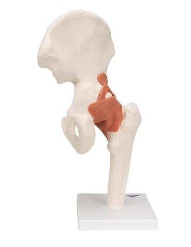 Zglob kuka