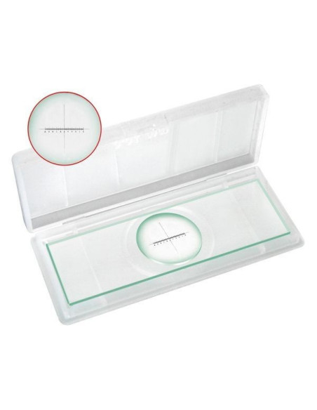 Mikrometarsko staklo (1/100mm)