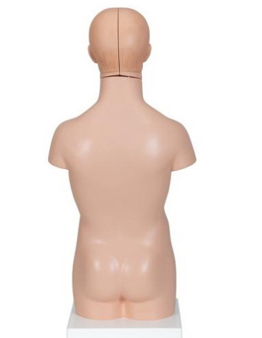 Torzo mini 12 dijelova