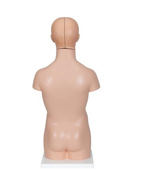 Torzo mini 12 dijelova