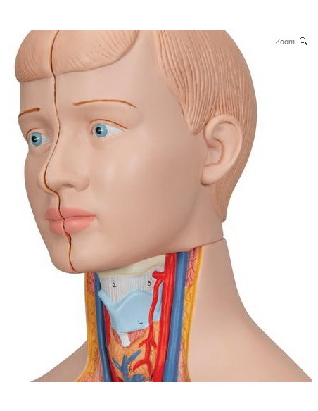 Torzo mini 12 dijelova