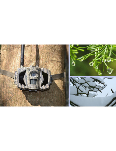 Kamera zamka (lovačka kamera)