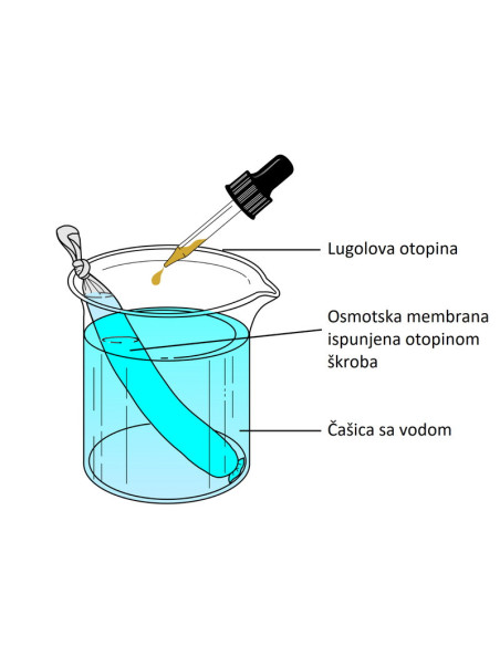 Komplet za demonstraciju pokusa osmoze