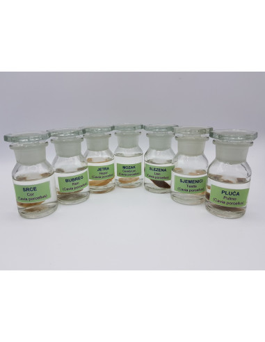 Trajni preparati u formalinu