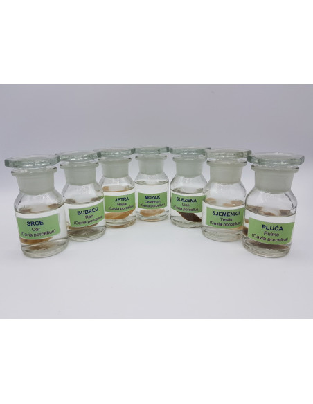 Trajni preparati u formalinu