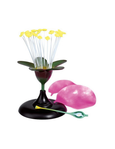 Edukativni model cvijeta