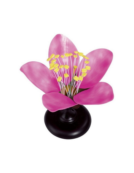 Edukativni model cvijeta