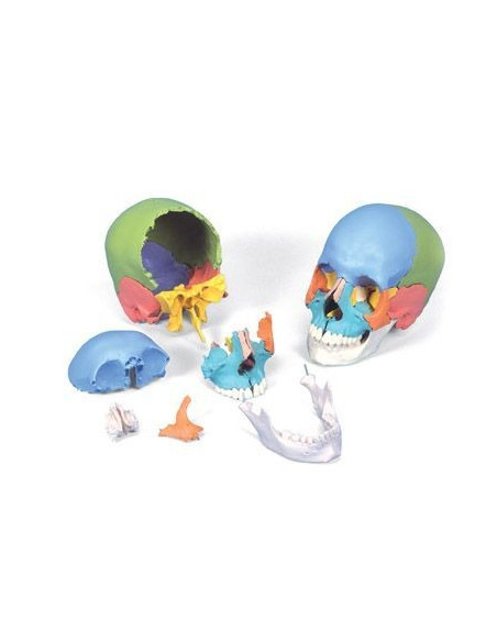 Lubanja didaktička 22 dijela