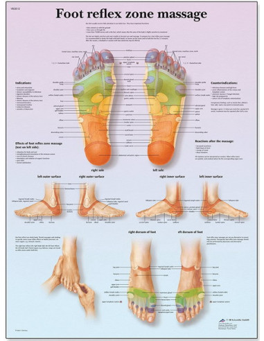Refleksne masažne zone stopala
