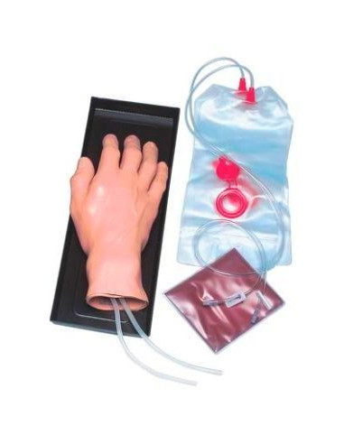 Šaka za vježbu I.V.