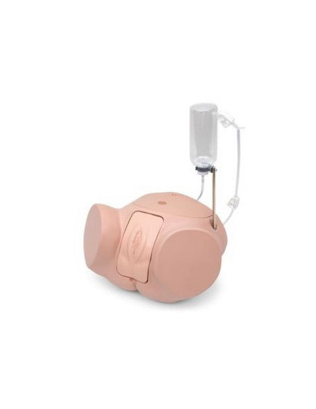 Simulator kateterizacije PRO - ženski