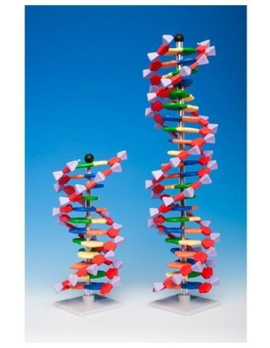 Napredni mini DNA 12 (set)