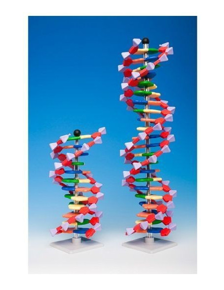 Napredni mini DNA 12 (set)