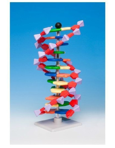 Napredni mini DNA 12 (set)