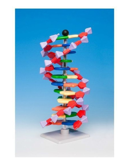 Napredni mini DNA 12 (set)