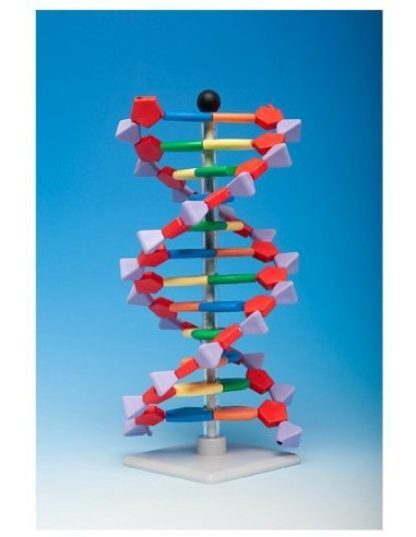 Napredni mini DNA 12 (set)