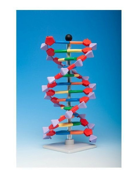 Napredni mini DNA 12 (set)