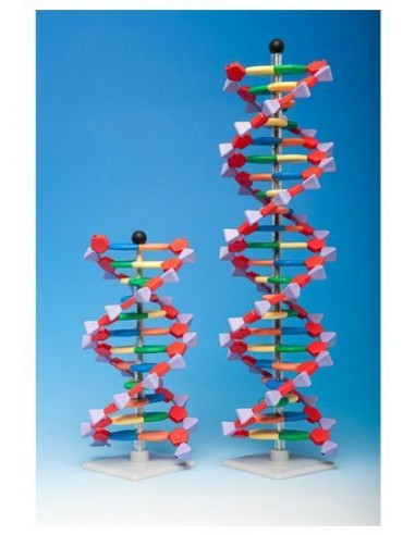 Napredni mini DNA 22 (set)