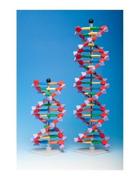 Napredni mini DNA 22 (set)