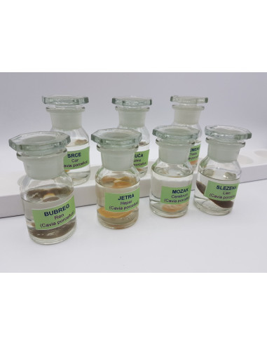 Trajni preparati u formalinu