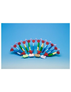 Sinteza proteina (set)