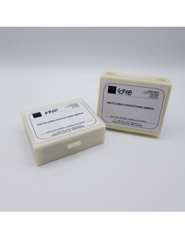 Čudesan svijet u kapljici vode (4900)