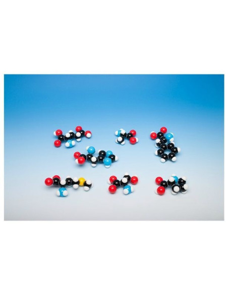 Sedam modela amino kiselina