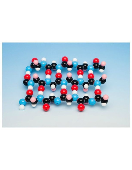 Protein - beta nabrana ploča