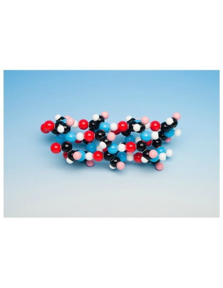 Alfa - jezgra (helix)